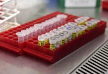 AstraZeneca y Oxford detienen las pruebas de la vacuna contra el Covid-19